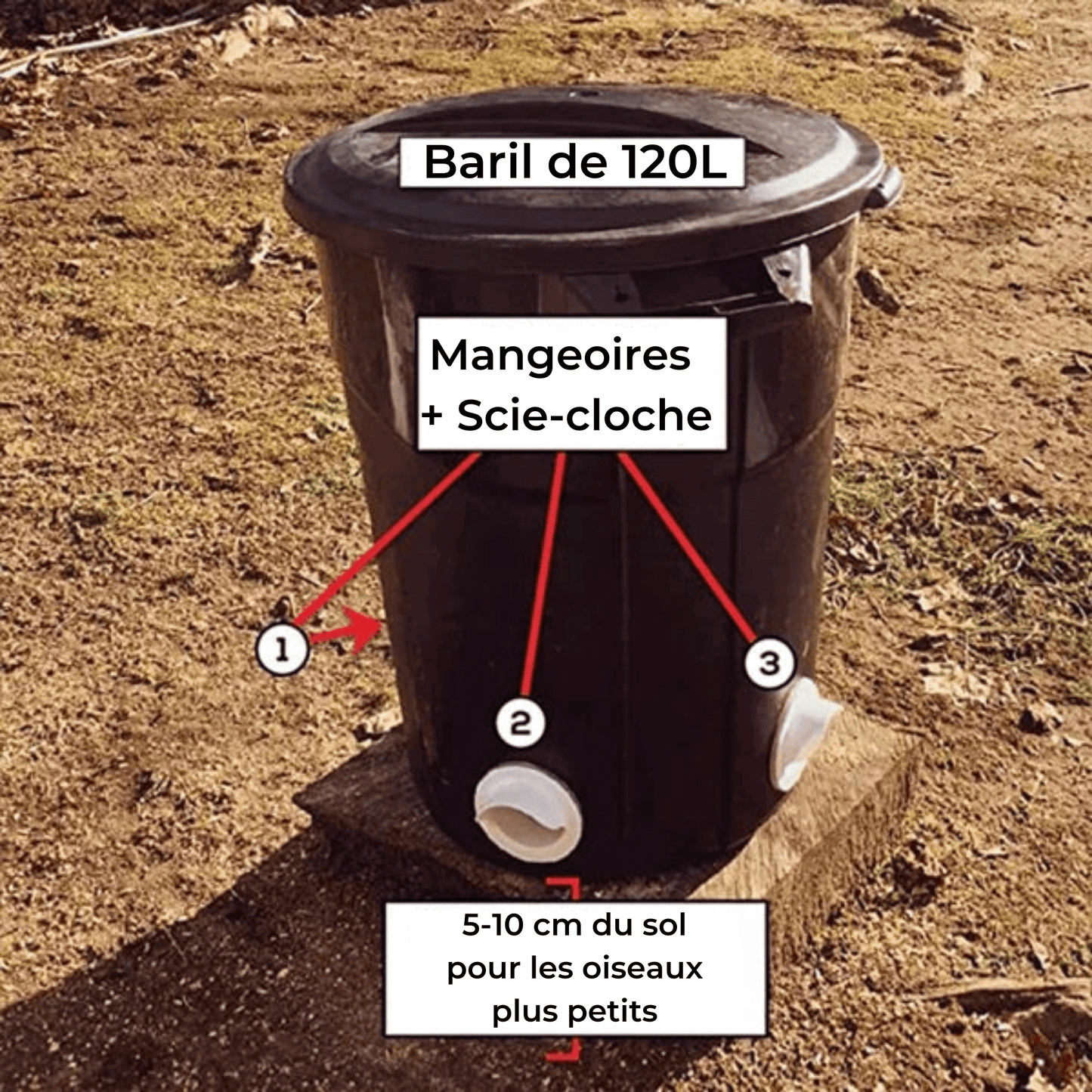 "Mangeoire premium élégante pour volailles, design moderne, adaptée à divers récipients, idéale pour poules et petits animaux