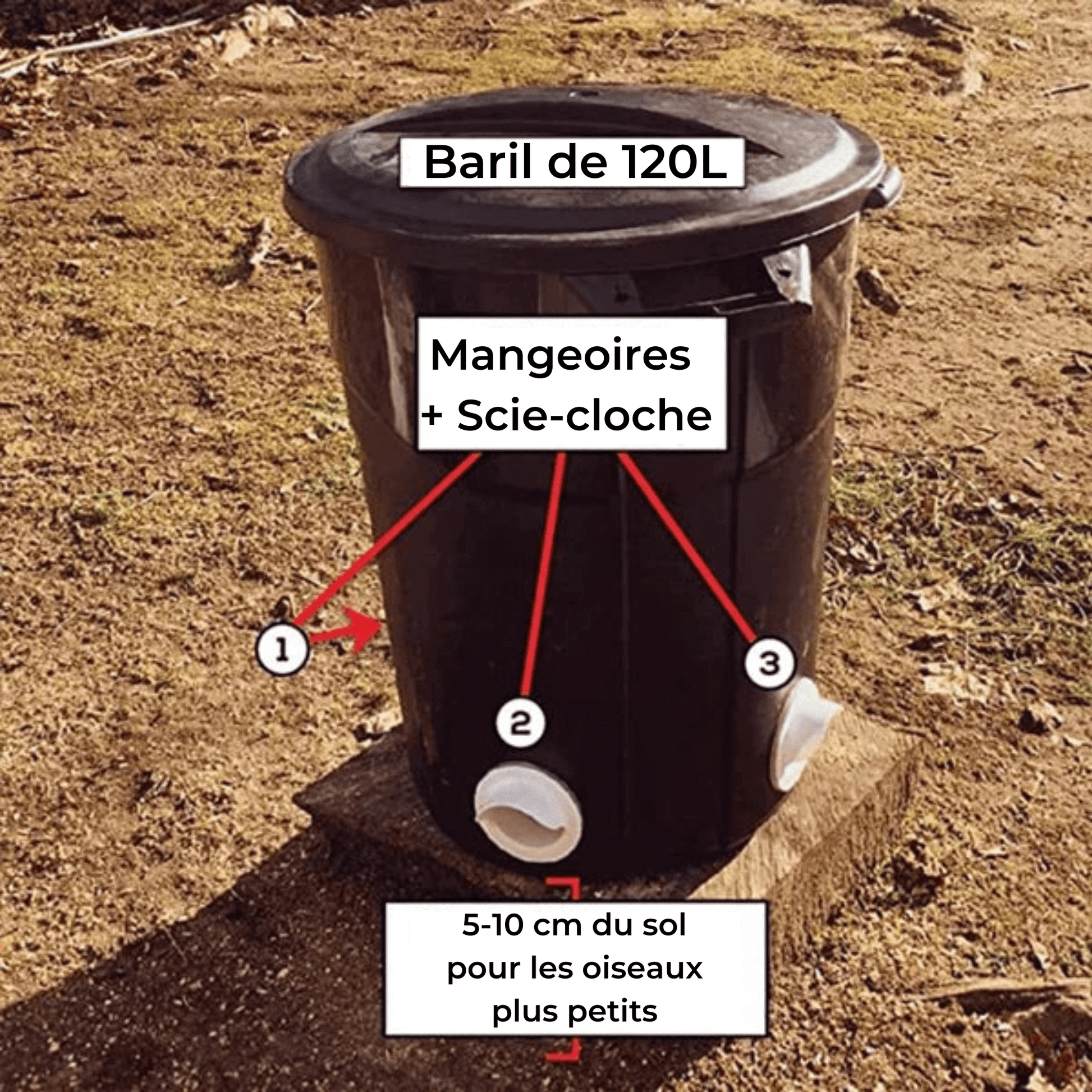 "Mangeoire premium élégante pour volailles, design moderne, adaptée à divers récipients, idéale pour poules et petits animaux