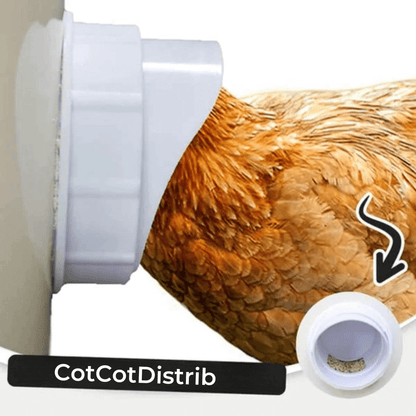 "Mangeoire premium élégante pour volailles, design moderne, adaptée à divers récipients, idéale pour poules et petits animaux